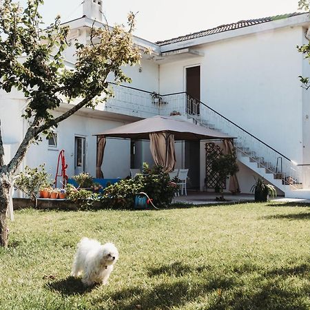 A Casa Da Estrela - Albergue De Peregrinos Fajozes Exteriör bild